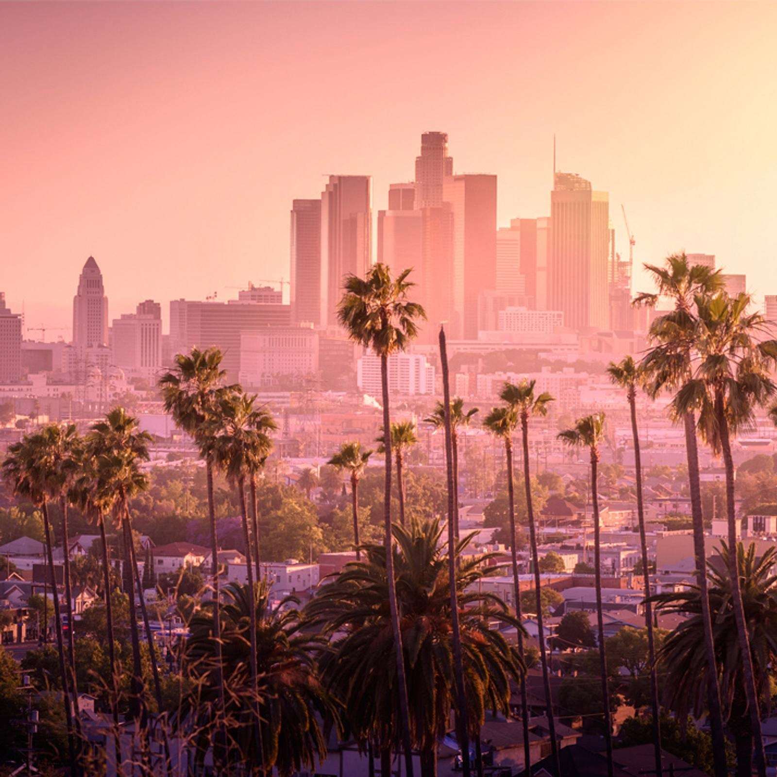 Los Angeles Californian USA sunset